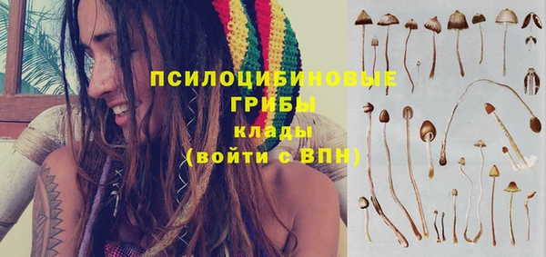 бошки Арсеньев