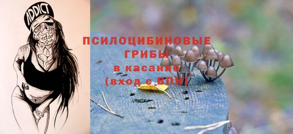 2c-b Армянск