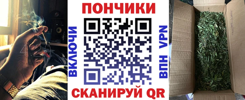 Купить закладки  Коряжма  МАРИХУАНА конопля 